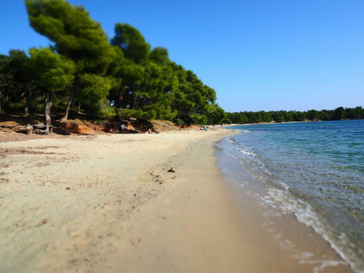 La Londe La Mer : Appartement Proche Plages & Vue Superbe Sur Les Iles D'Or Kültér fotó
